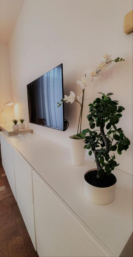Grafea Apartment&rooms Appartamento *