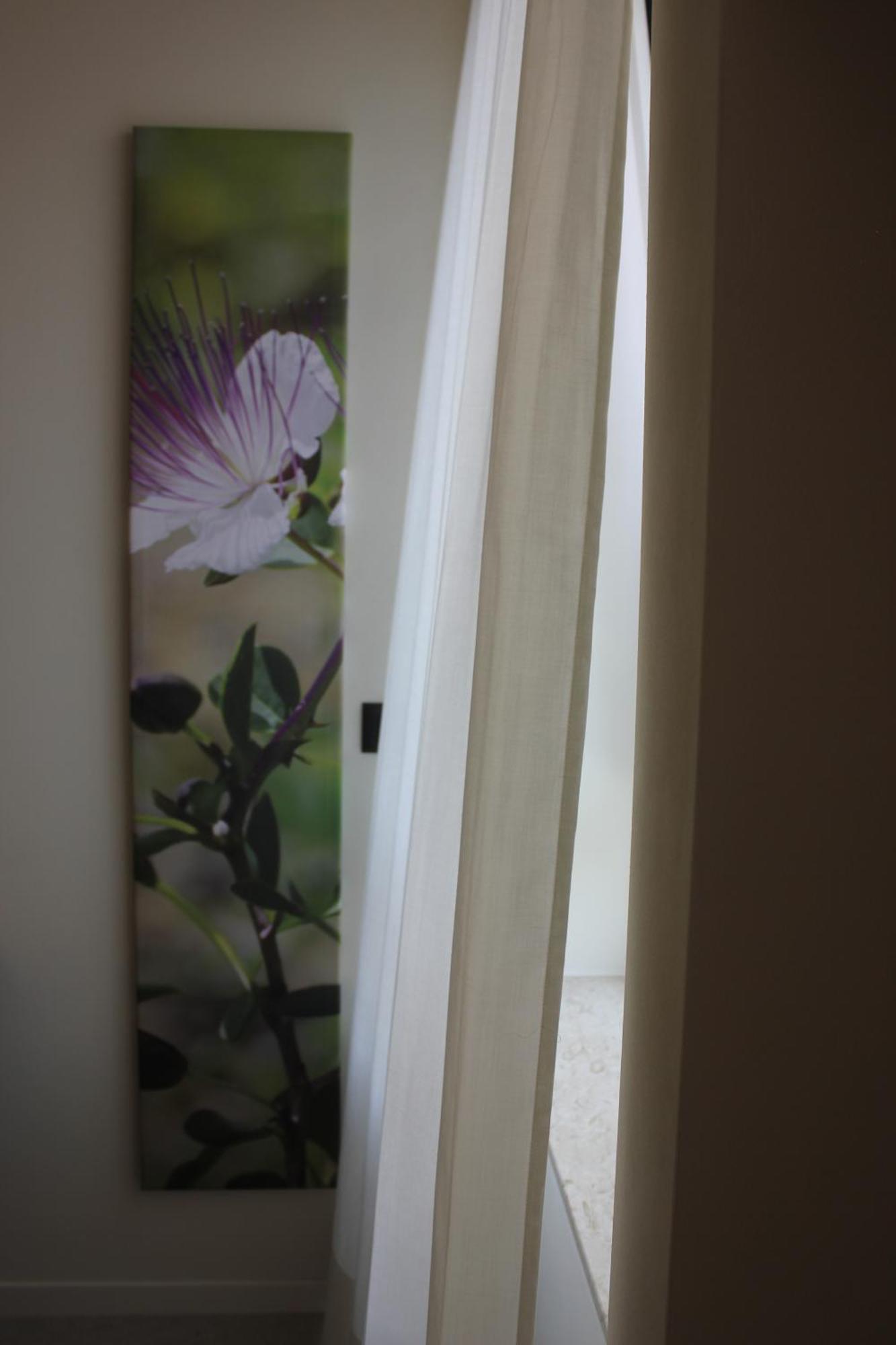 Grafea Apartment&rooms