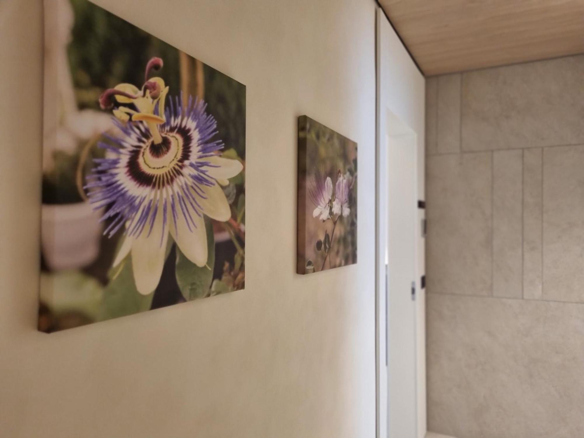 Grafea Apartment&rooms * Aeroporto di Catania Fontana Rossa